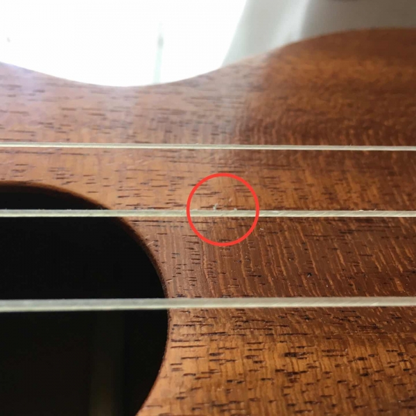 Gut ukulele strings with hairs