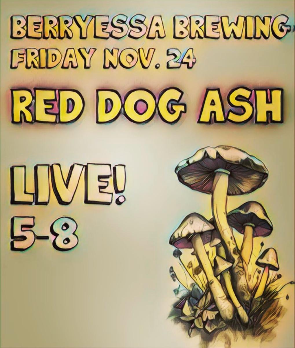 Concert poster for Red Dog Ash at Berryessa Brewing Co. November 24, 2023