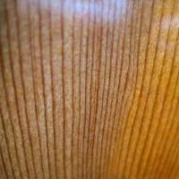 Tight spruce grain