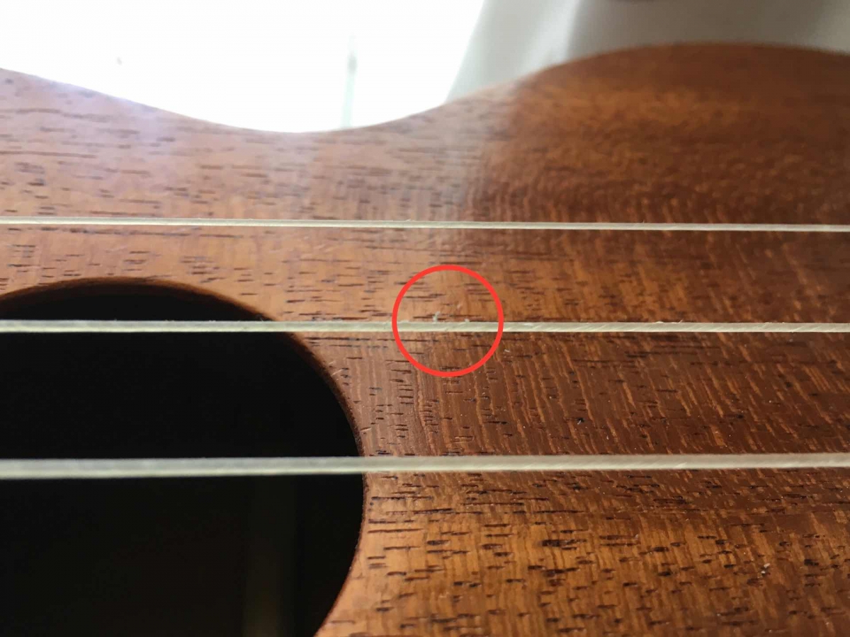 Gut ukulele strings with hairs